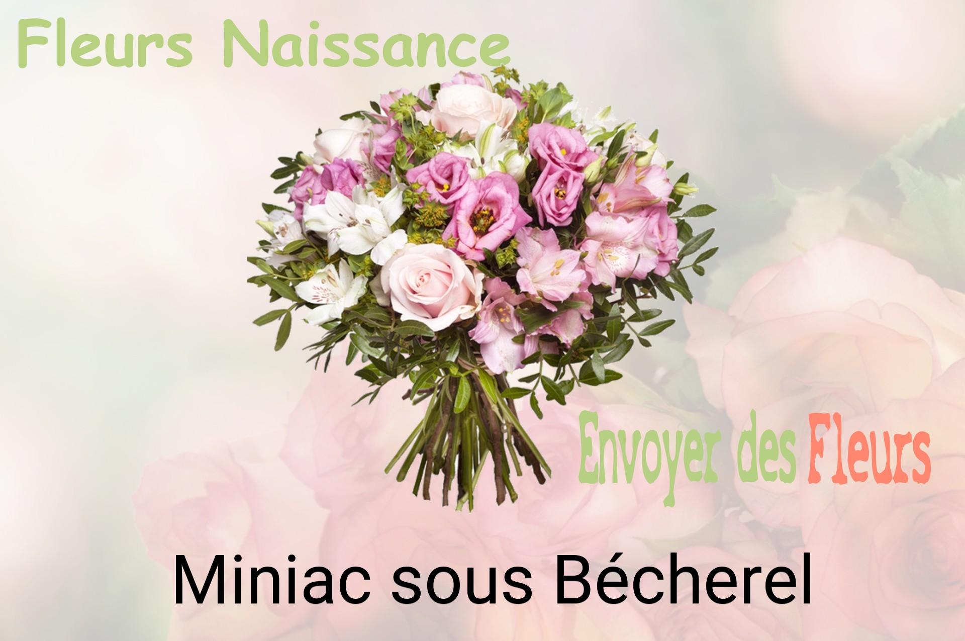 Bouquet de fleurs de naissance livré à Miniac-sous-Bécherel